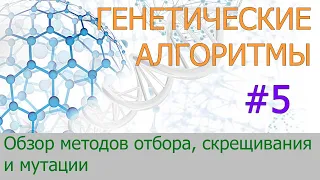 #5. Обзор методов отбора, скрещивания и мутации | Генетические алгоритмы на Python