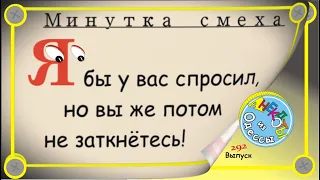 Минутка смеха Отборные одесские анекдоты Выпуск 292