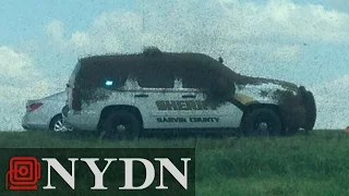 Swarm of bees attack Oklahoma police car