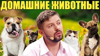 10 ПРИЧИН ЗАВЕСТИ ДОМАШНЕЕ ЖИВОТНОЕ! Приходишь домой с работы, а тебя ждут! Приколы с животными 2021