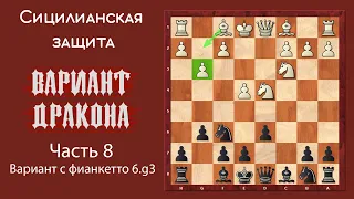 Сицилианская защита. Вариант Дракона (часть 8). Вариант с фианкетто 6.g3