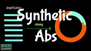 Syntheitic Antibodies | Aptamers in Diagnostics | Recombinant Abs |