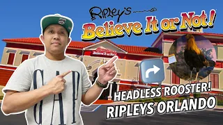 RIPLEY'S BELIEVE IT OR NOT MUSEUM ORLANDO | NEW NORMAL 2021 #JANZVLOGS