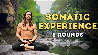 20 Minute Guided Breathwork For Body Awareness I 5 Rounds