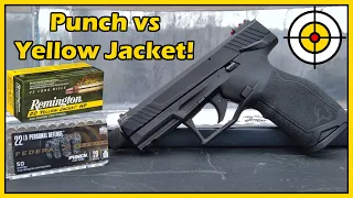 Did Punch Get Stung? .22lr Federal Punch vs Remington Yellow Jacket Ballistic Gel Test!