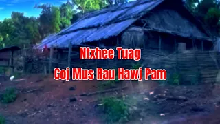 Dab Neeg - Ntxhee Tuag Coj Mus Rau Hawj Pam 05-01-2024