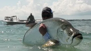 Huge Tarpon Caught On Fly