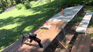 Ruger 22 charger. 75 yards shooting. Redneck review