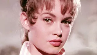 Detalles Trágicos Sobre Brigitte Bardot