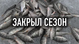 ПОСЛЕДНИЙ ЛЕД / РЫБАЛКА 2020 / ЖОР ОКУНЯ