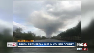 Brush fire in Collier County