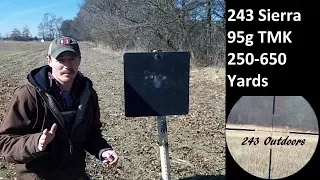 243 Sierra 95g TMK 250-650 Yards