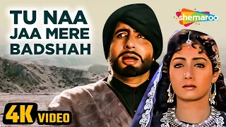 Tu Na Ja Mere Badshah (4K Video)| Khuda Gawah (1992) | Amitabh Bachchan,Sridevi | Alka Yagnik Songs