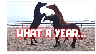 A year to never forget... or is it... Thank you! | Friesian Horses