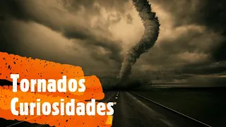 Las 5 Curiosidades Dé Los Tornados