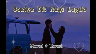 Soniye Dil Nayi Lagda Tere Bina - (Slowed + Reverb) Baaghi 2 song | Ankit Tiwari