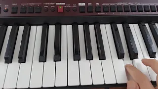 Korg pa700 Oriental Sounds color from factory MG and TR (Turkish and Arabic) set of korg pa700 Or.