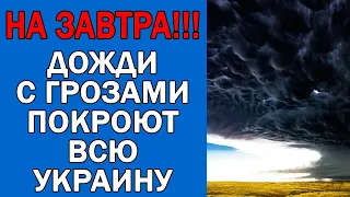 ПОГОДА НА 13 АВГУСТА : ПОГОДА НА ЗАВТРА