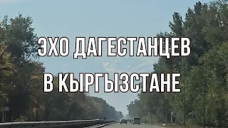 Эхо дагестанцев в Кыргызстане