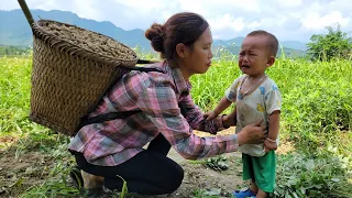 Huu Loc and his mother harvest peanuts, boil them and sell them at the market - daily life