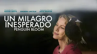 Un Milagro Inesperado (Penguin Bloom) - Trailer Oficial Subtitulado al Español