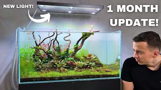 SCAPERLINE 90 Update! Rare Fish, Weird Bugs & New Light Unboxing!