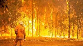 Join Us now as we bring you the latest breaking news on the QLD Fires