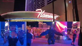 Flamingo hotel casino Las Vegas