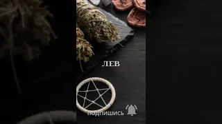 ЛЕВ. ЗОДИАКИ ДЛЯ ВСЕХ. ▶️ВЕДЬМИНА ИЗБА ▶️ ИНГА ХОСРОЕВА.