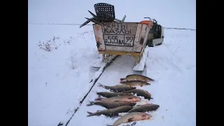 ДК Эдельвейс поселок Хани День государственности Якутии