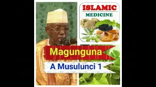 Shekh Umar Sani fagge: Magunguna a Musulunci 1