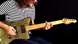 Woodstock Golden Coal Sinoptik Signature // Woodstock Guitars Demo