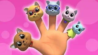 小猫手指家庭| 手指家庭歌曲| 中国小孩的歌 | Kitten Finger Family | Kids Songs In Chinese | Farmees China | 儿童漫画和婴儿歌曲