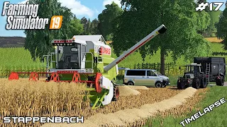 Harvesting with CLAAS Dominator 108 SL | Animals on Stappenbach | Farming Simulator 19 | Episode 17