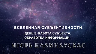 Игорь Калинаускас «Вселенная субъективности. Работа субъекта. Обработка информации.День пятый».