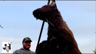 Archery Buffalo Hunt at Texas Hunt Lodge
