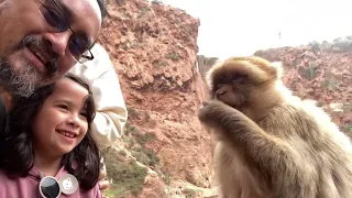 Spectacular Family Day Trip to the Ouzoud Water Falls - Marrakech, Morocco 2023' - HD 1080p