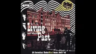 Various ‎– Living In The Past - 19 Forgotten NederBiet Gems 1964-'67 Garage Rock Pop Psych ALBUM LP