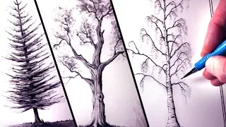 How to Draw Trees