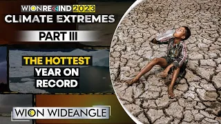 2023 Global Heatwaves: From Arizona to Antarctica | WION Wideangle