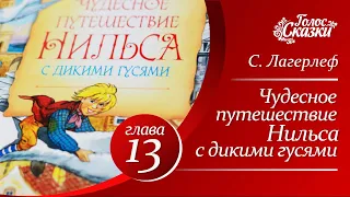 Чудесное путешествие Нильса с дикими гусями (Сельма Лагерлеф) - Глава 13  |  Аудиосказка для детей