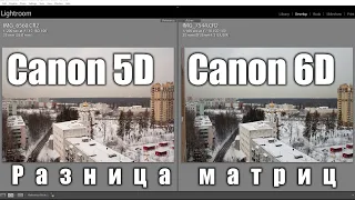 СANON 5D vs 6D. Уникальные матрицы? Сравнение RAW-файлов в Lightroom'е.