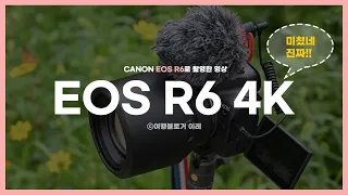 [4K] 캐논 EOS R6 +85mm 📷직접 찍은 영상[Canon EOS R6 video]