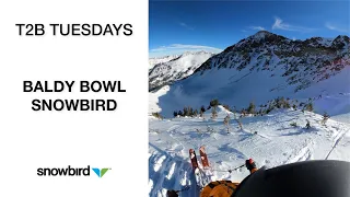 T2B Tuesdays – Baldy Bowl  |  Snowbird  |  2021-2022