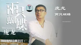 两只蝴蝶  庞龙 带歌词 高音质 经典 怀旧