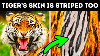 100+ Random Facts That Will Make You Say "Wow"