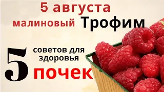 Повесьте несколько веточек малины над входной дверью - для счастья и защиты дома