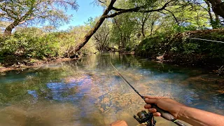 Los MEJORES SEÑUELOS para Pesca de Río!