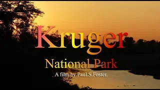 The Kruger National Park South Africa (fully narrated)