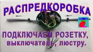 Соединение проводов в распределительной коробке. Подключение розетки, выключателя и люстры.